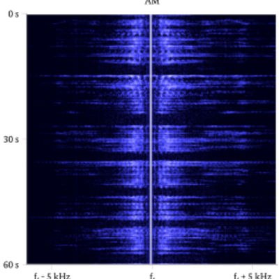 Signal einer FM-Amateurfunksendung (Sprache)